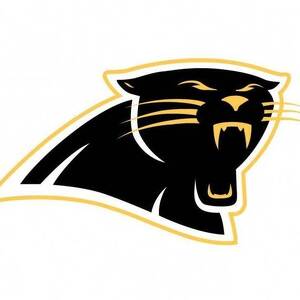 Fundraising Page: Frank Feaster